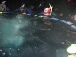 Snorkeling with Manta Rays
